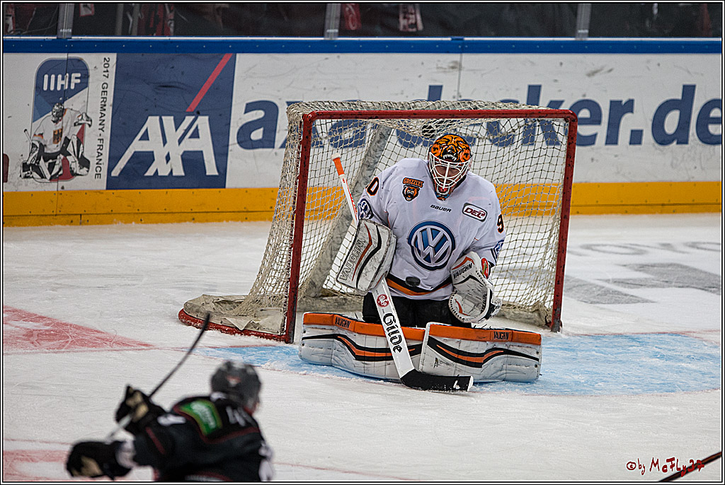 DEL, Koelner Haie - Grizzlys Wolfsburg, 21.02.2017